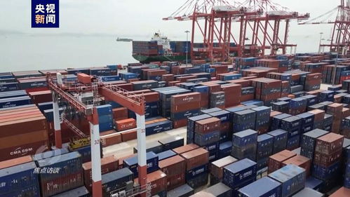 伟大的历史变革 高水平对外开放推动二手日用百货销售产业升级