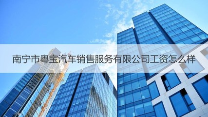 南宁市粤宝汽车销售与日用百货销售行业工资对比分析